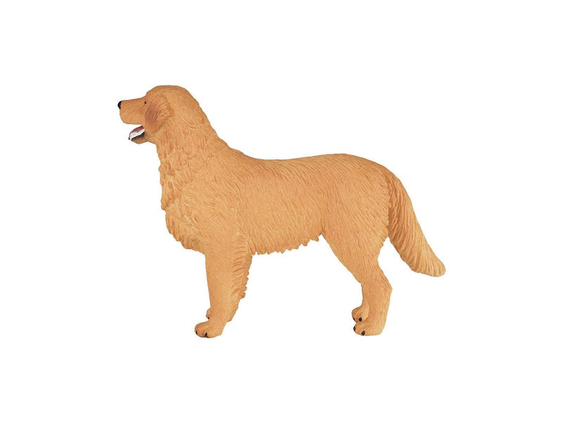 Mojo Farmland Golden Retriever - 387198