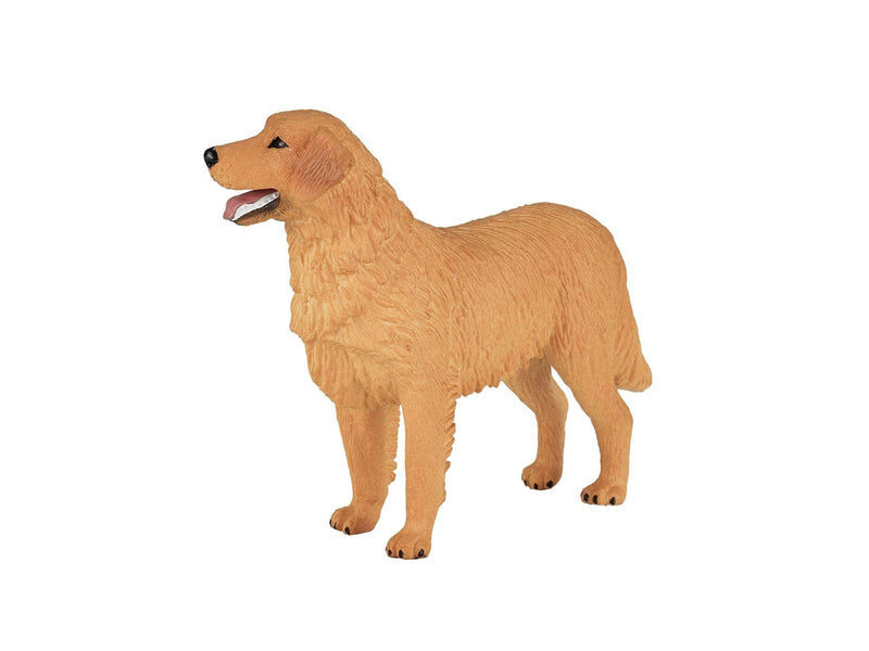 Mojo Farmland Golden Retriever - 387198