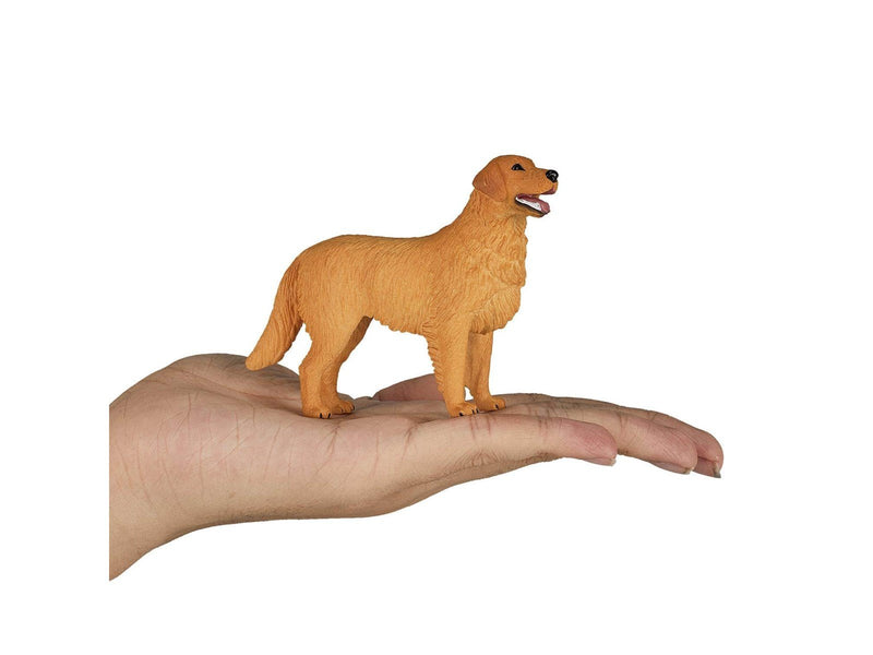 Mojo Farmland Golden Retriever - 387198