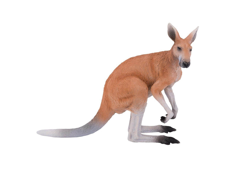 Mojo Wildlife Kangaroo