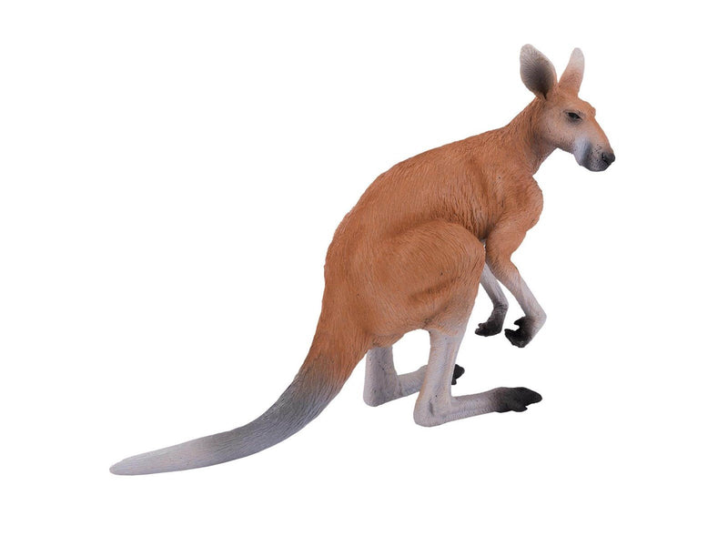 Mojo Wildlife Kangaroo