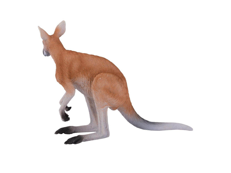 Mojo Wildlife Kangaroo