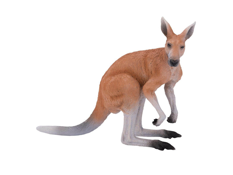 Mojo Wildlife Kangaroo