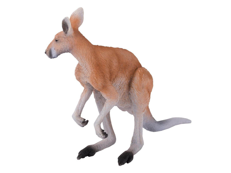 Mojo Wildlife Kangaroo