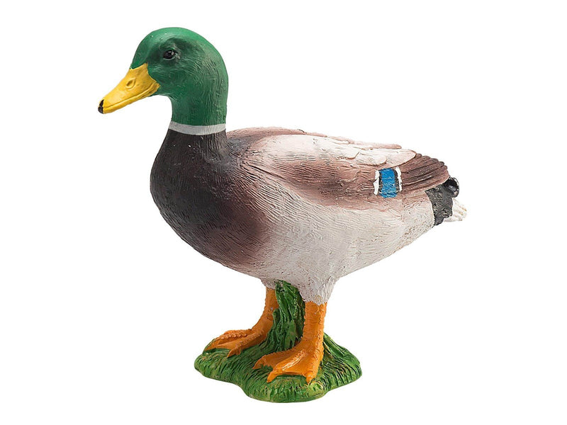 Mojo Farmland Mallard