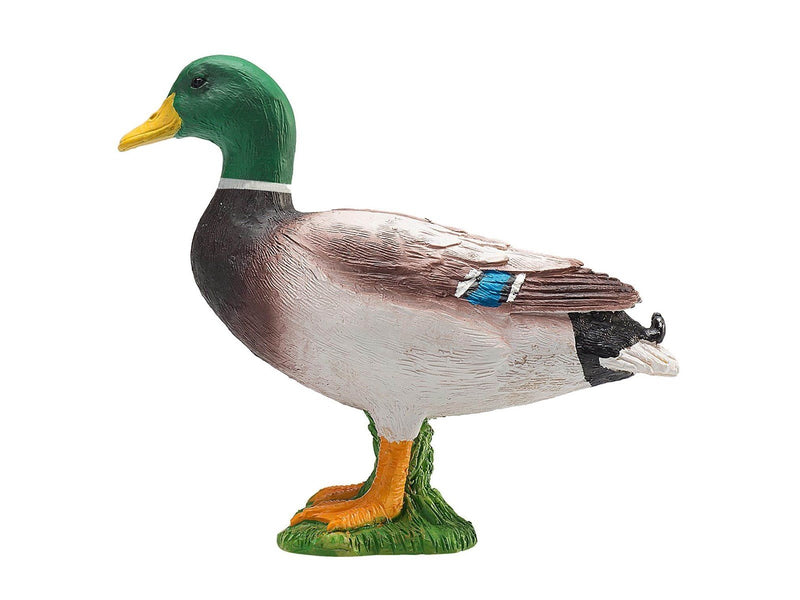 Mojo Farmland Mallard