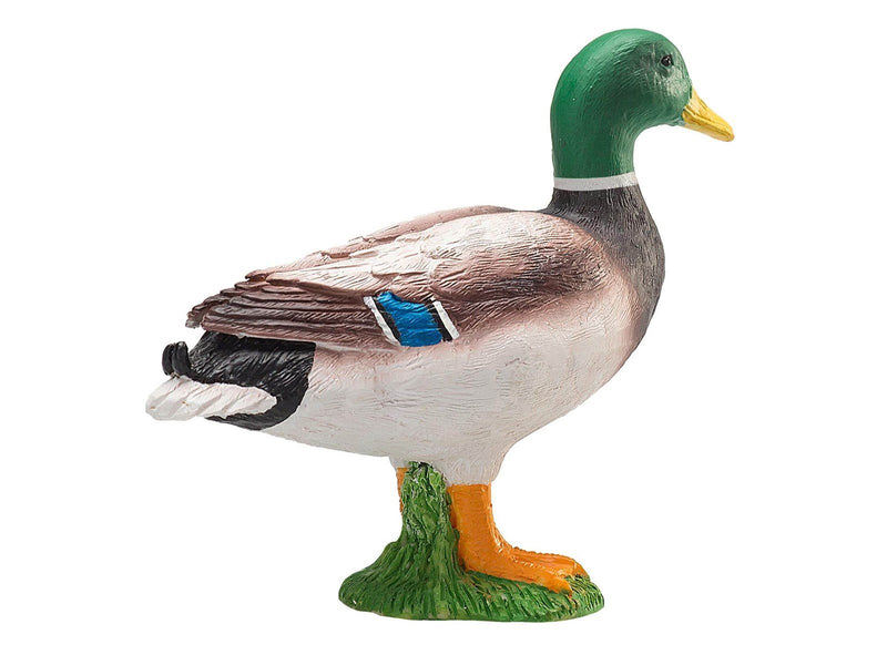 Mojo Farmland Mallard