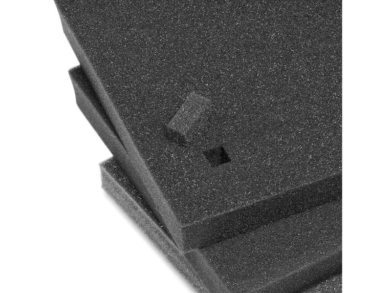 Manfrotto MB PL-RL-TH55-F camera case