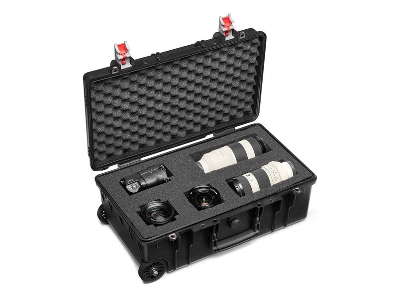 Manfrotto MB PL-RL-TH55-F camera case