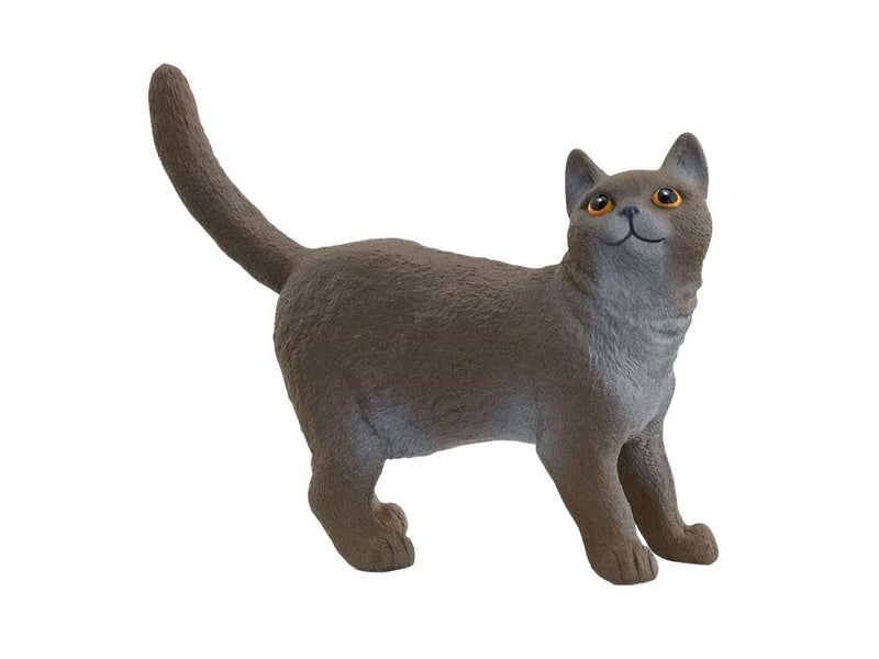 Schleich British Shorthair Cat