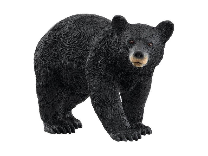 Schleich American Black Bear