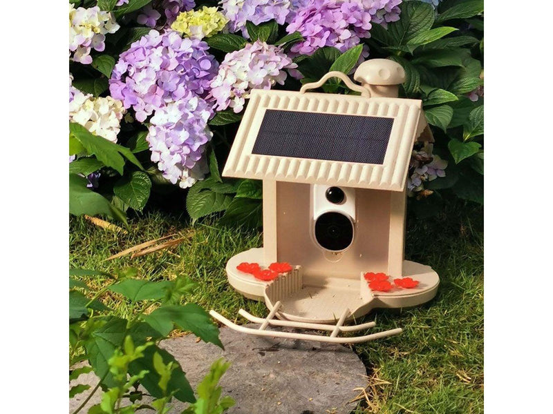 Bullboat HiBirds - WiFi Smart bird feeder 1080HD camera and AI bird recognition - (HB-5543)