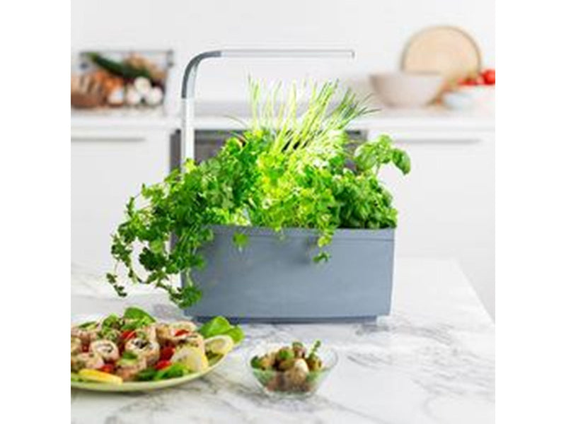 Tregren T6 GREY home garden