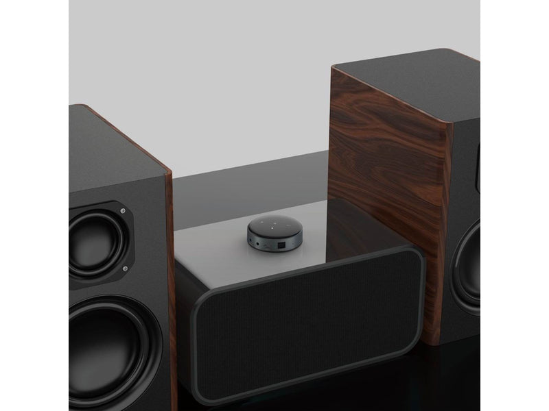 WiiM Mini