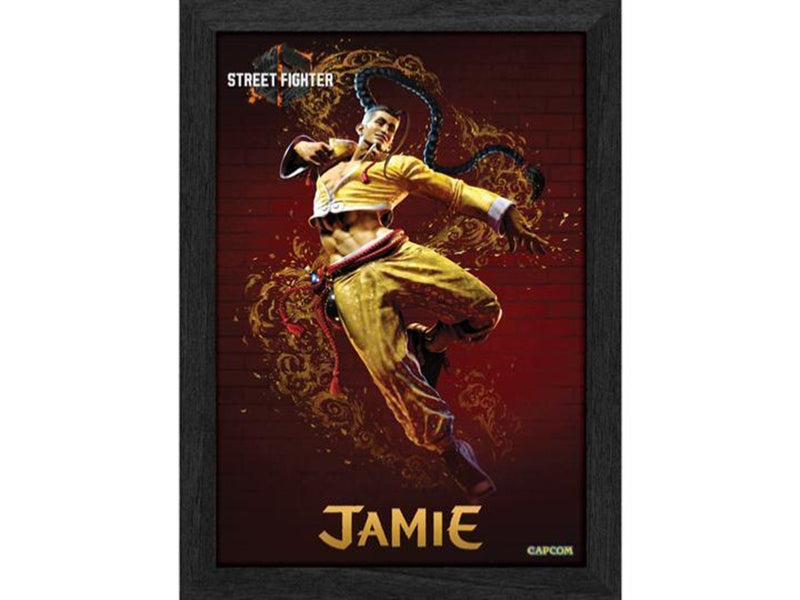 Pixel Frames - PLAX Street Fighter 6: Jamie - Bild