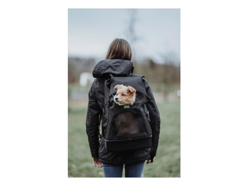 Hunter - Bag/Backpack Miles black - (69346)