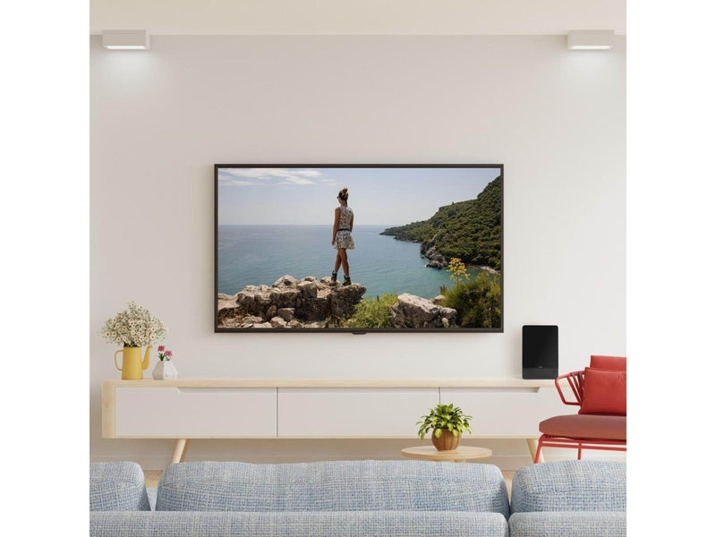 Hama Pro television antenna