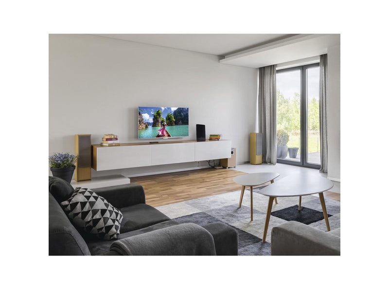 Hama Pro television antenna