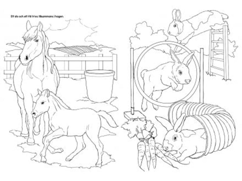 Tactic Cute farm animals coloring book