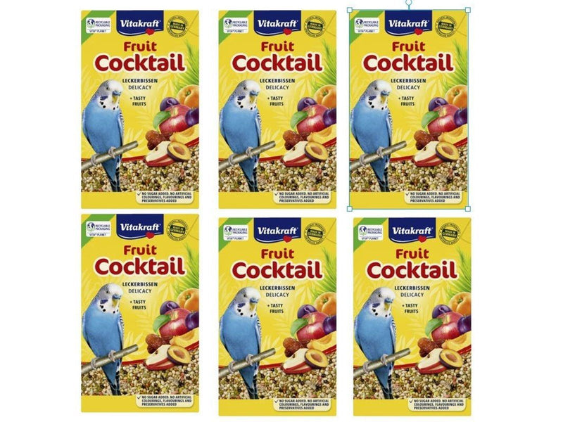 Vitakraft 6 x Fruit Cocktail for budgies