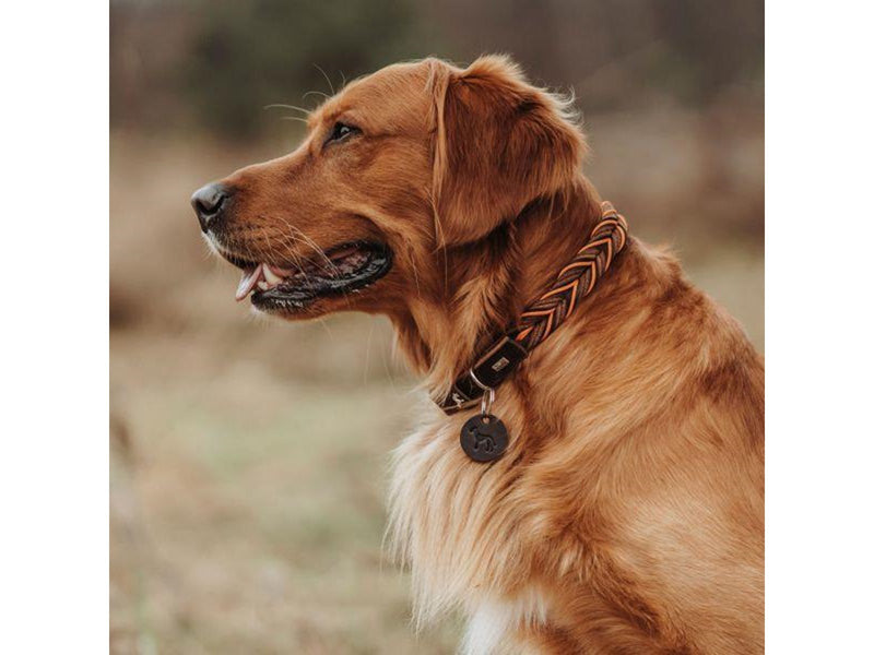 Hunter - Dogcollar Solid Education Cord M-L