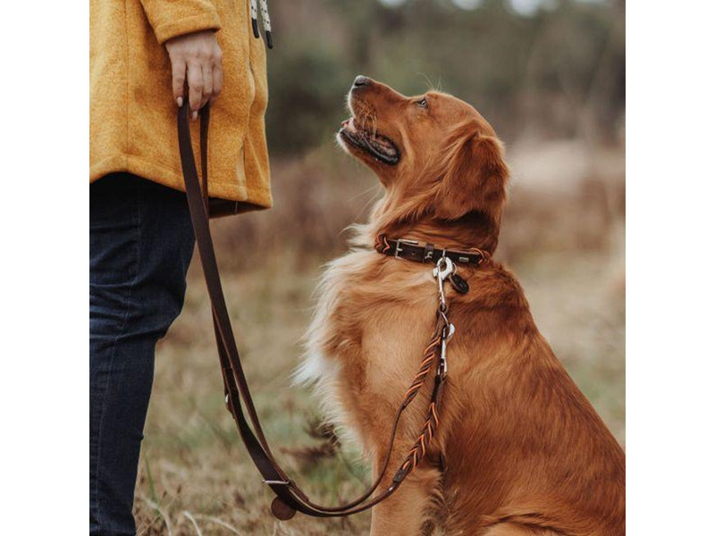 Hunter - Dogcollar Solid Education Cord M-L