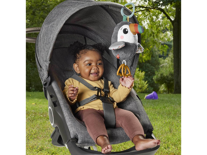 Fisher Price Flap & Go Toucan
