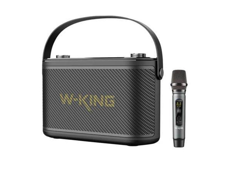 W-KING Wireless Bluetooth Speaker  H10 S 80W (black)