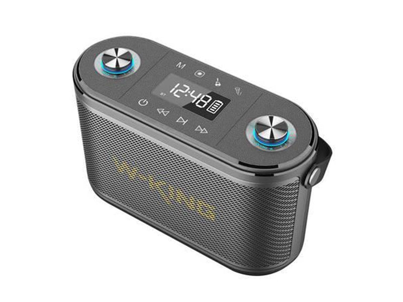 W-KING Wireless Bluetooth Speaker  H10 S 80W (black)