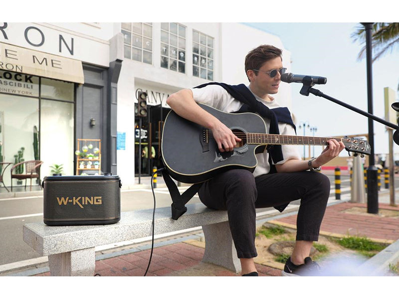 W-KING Wireless Bluetooth Speaker  H10 S 80W (black)