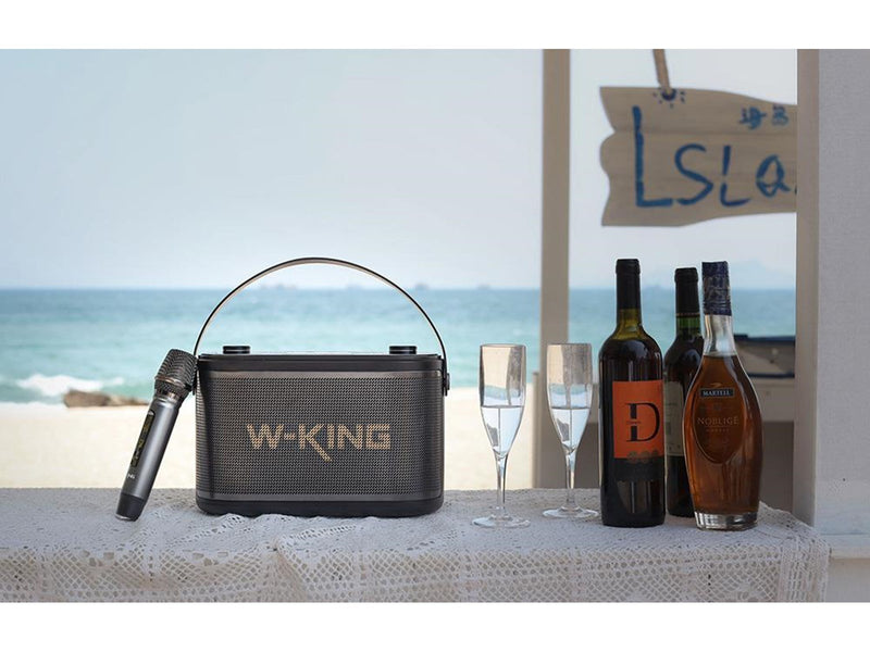 W-KING Wireless Bluetooth Speaker  H10 S 80W (black)
