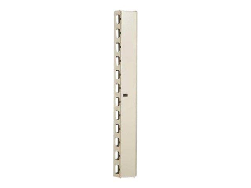 DIGITUS Professional Line DN-19 ORG-42U - rack cable management panel - 42U