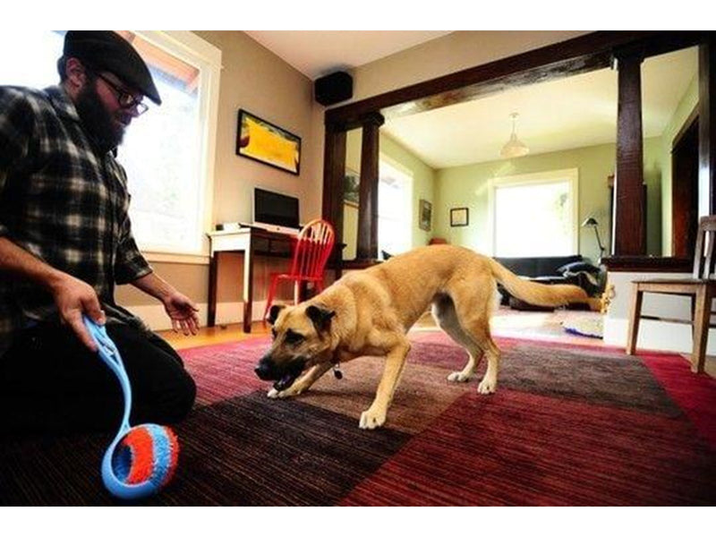 CHUCKIT - Indoor Roller 12 cm - (CHUC05212201)