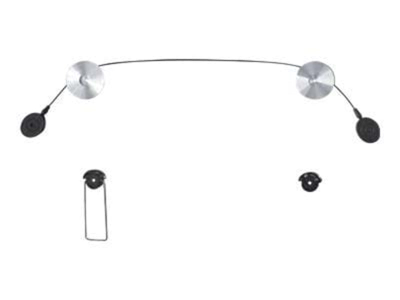Neomounts PLASMA-W800 20 kg 55" From 100 x 100 mm