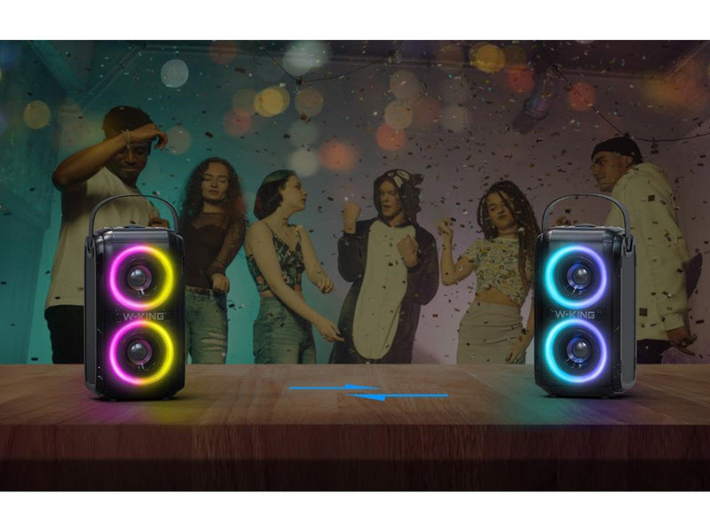 W-KING Wireless Bluetooth Speaker  T9 60W (black)