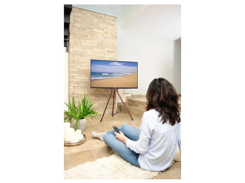 Hama Easel Design 40 kg 75"