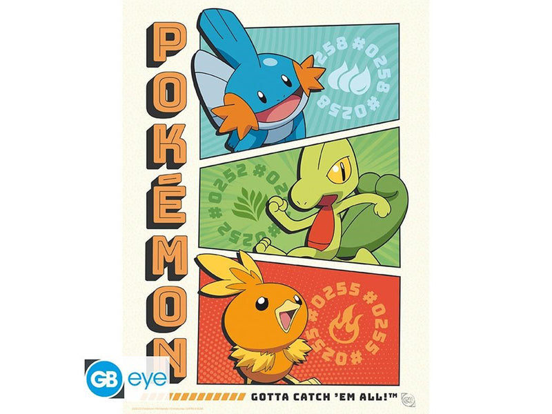 ABYstyle - POKEMON Portfolio 9 Posters Starters (21x29.7cm) - Plakat