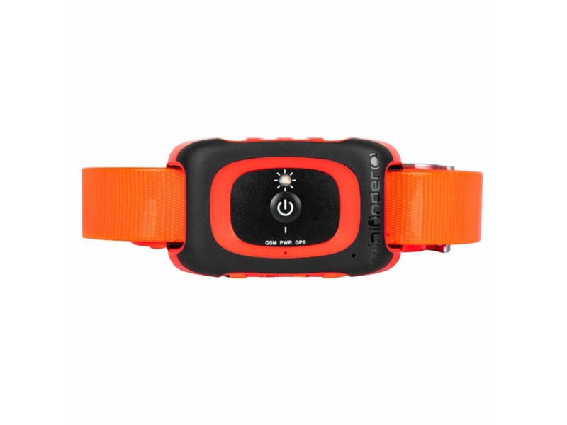 Minifinder Rex 4G Dog Pointer when Hunting