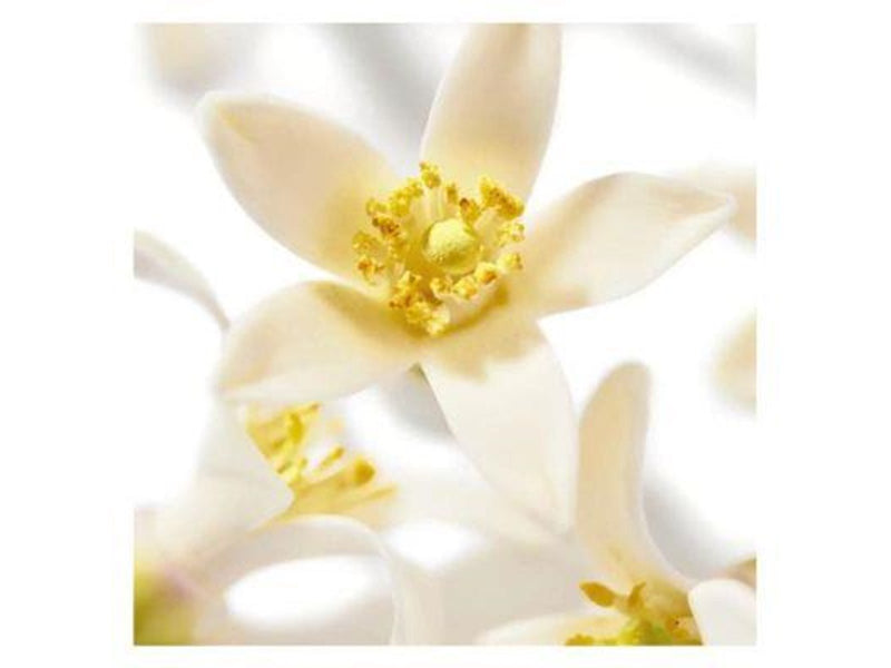 Nuxe Prodigieux Neroli Relaxing Scented Shower Gel