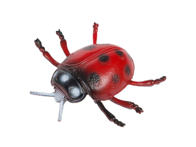 Toi-Toys Animal World Big Creepy Insect (Assorted)