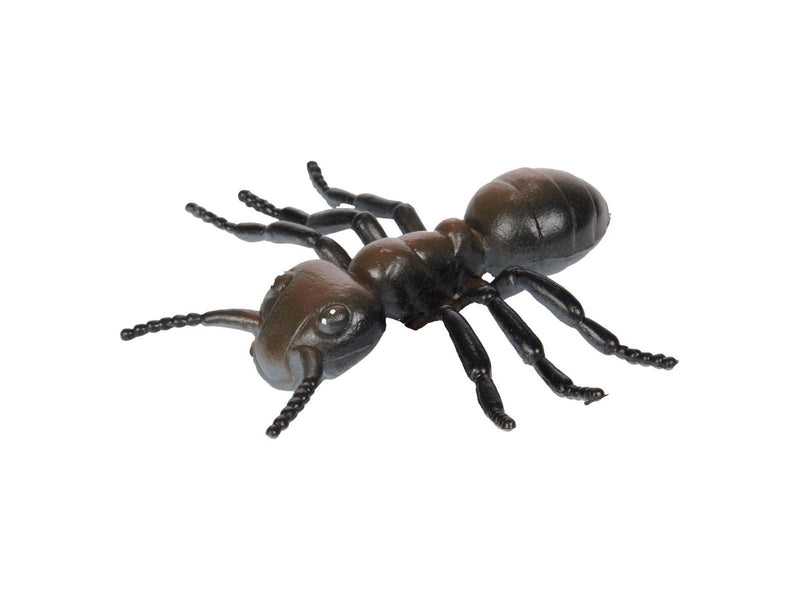 Toi-Toys Animal World Big Creepy Insect (Assorted)