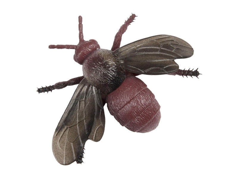 Toi-Toys Animal World Big Creepy Insect (Assorted)