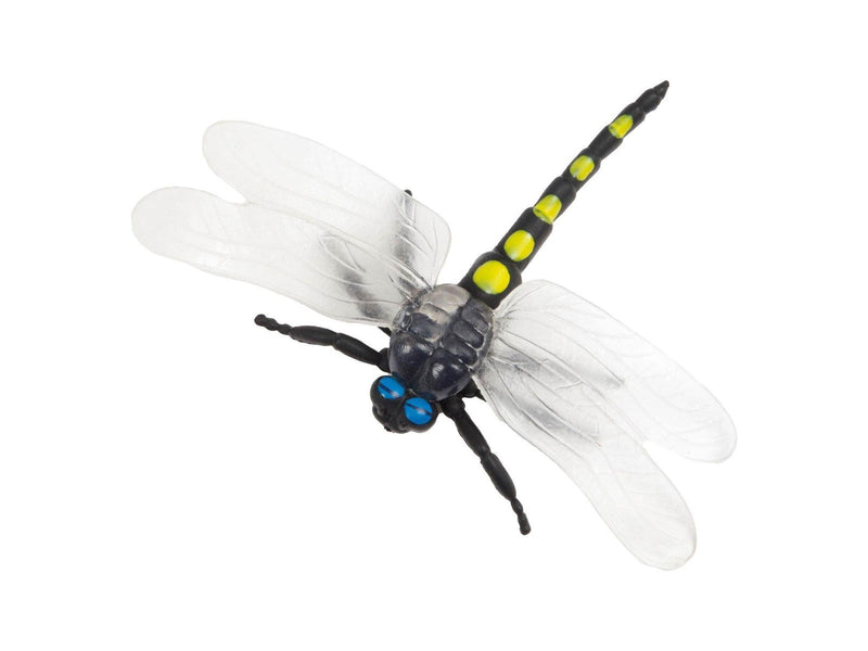 Toi-Toys Animal World Big Creepy Insect (Assorted)