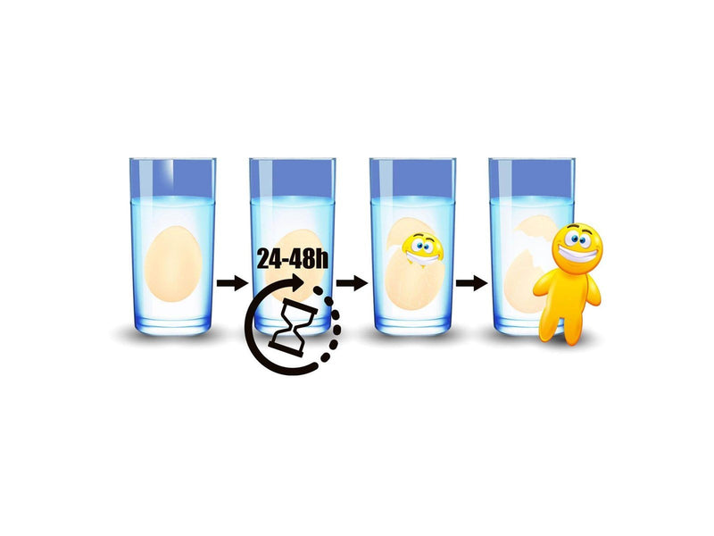 Toi-Toys Growth egg Smile face