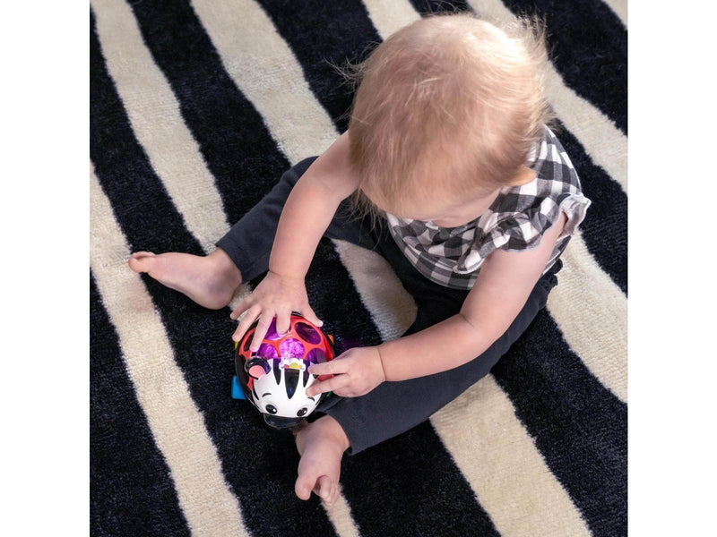 Baby Einstein Zen Oball Vehicle