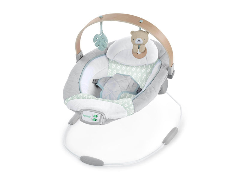 Ingenuity Cozy Spot Bouncer with Wood Toy Bar