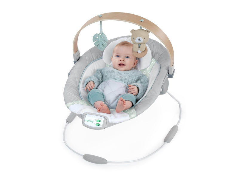 Ingenuity Cozy Spot Bouncer with Wood Toy Bar
