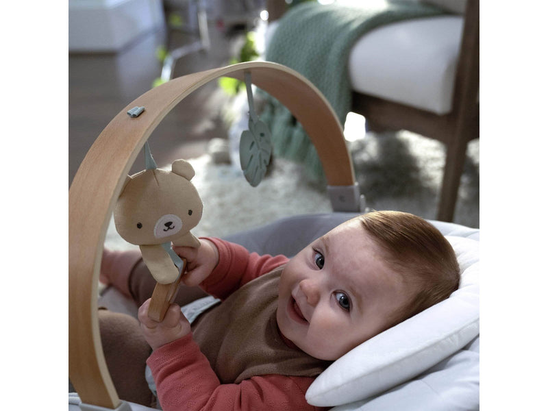 Ingenuity Cozy Spot Bouncer with Wood Toy Bar