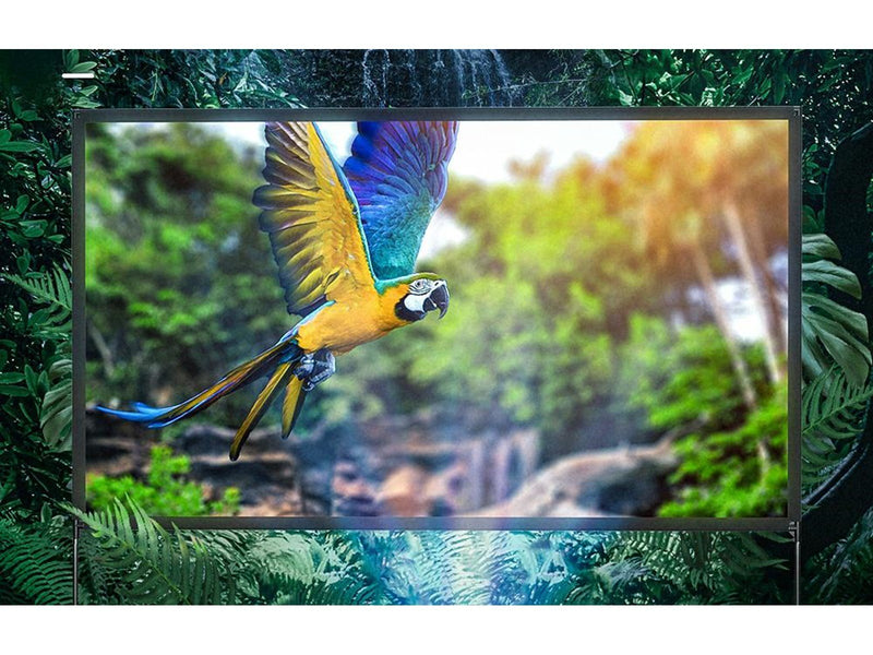 BlitzWolf Portable projection screen 80"