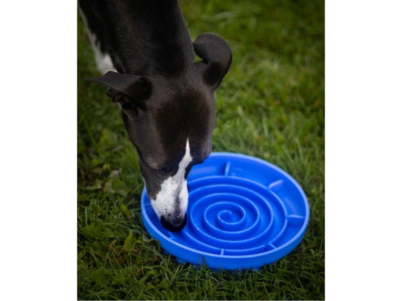 Confetti dogs - Swirl Slowfeeder 20 x 20 x 3.5 cm - (PSW7358S)